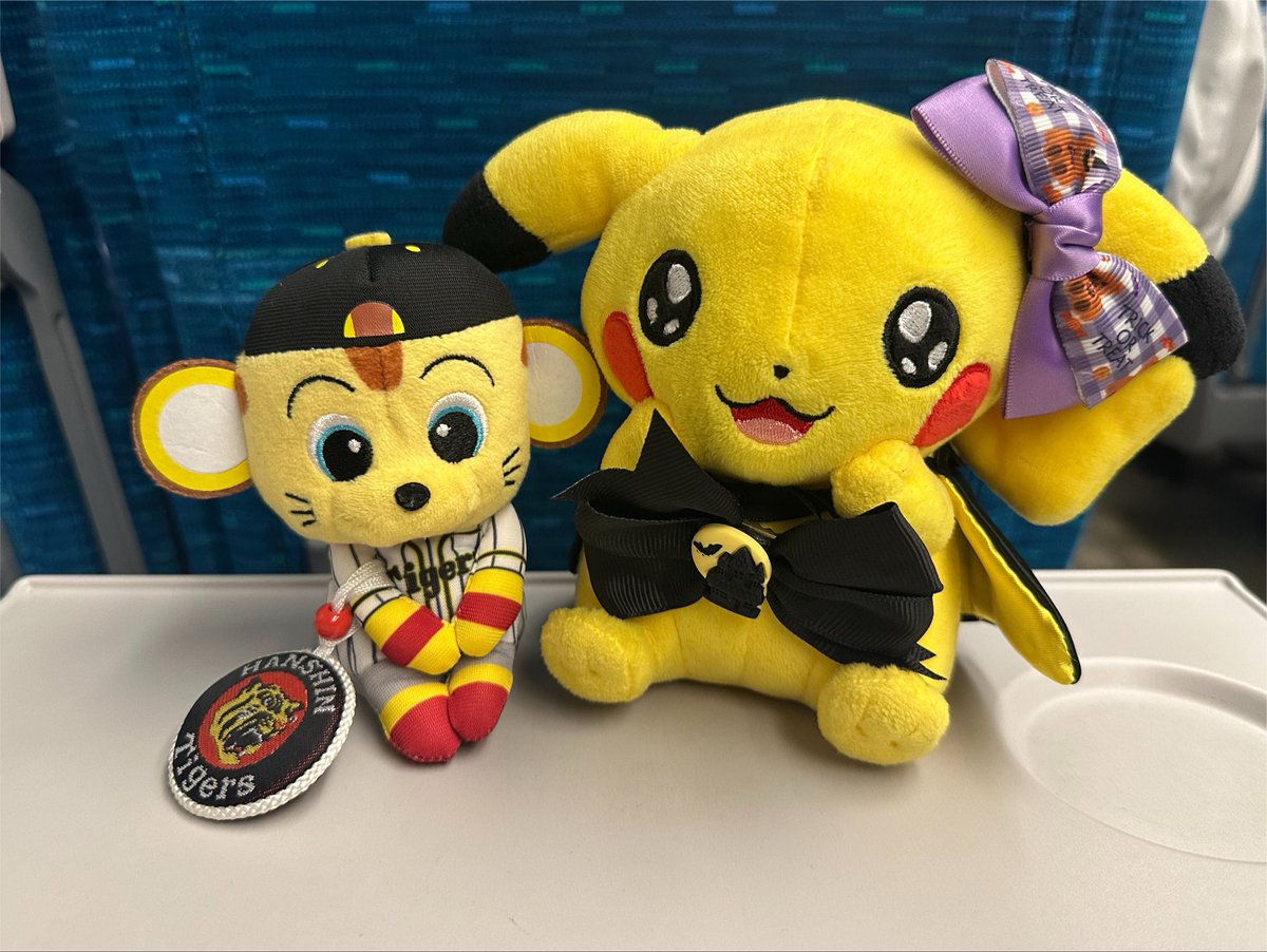 meeepn___'s tweet photo. バイバイ大阪😭
今から帰ります！！！
#ポケぬい https://t.co/hlI5CQKTDZ