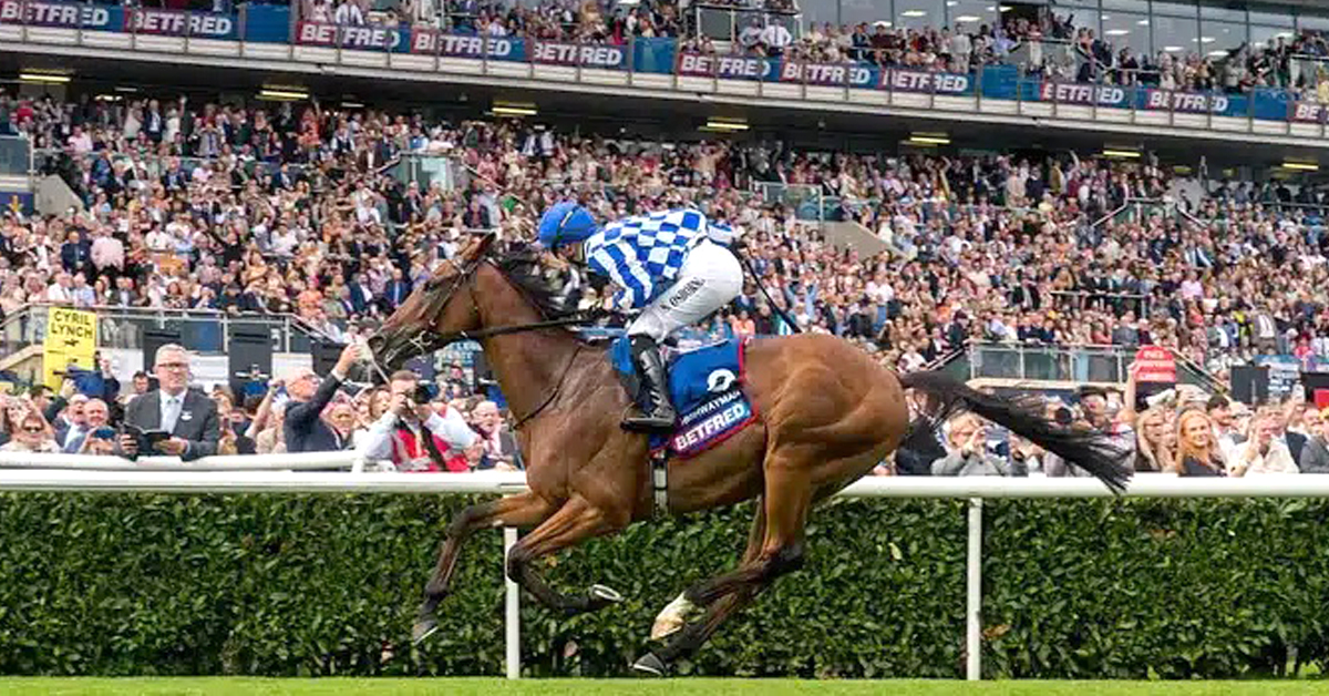 CanadianTbred's tweet photo. Osborne Makes History in St. Leger, Hotazhell Upsets Irish Champion
Saffie Osborne became the first #femalejockey to win a British classic when she guided Highwayman (Fr) to victory in the St Leger. #horseracing #StLeger
https://t.co/EzjyoMFGI8 https://t.co/CBfBSZDwKn