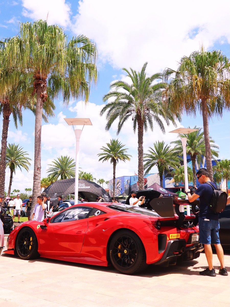 mariahill82203's tweet photo. @houseofgr showed up at @dezerlandparkorlando https://t.co/AQmMAWmnCl