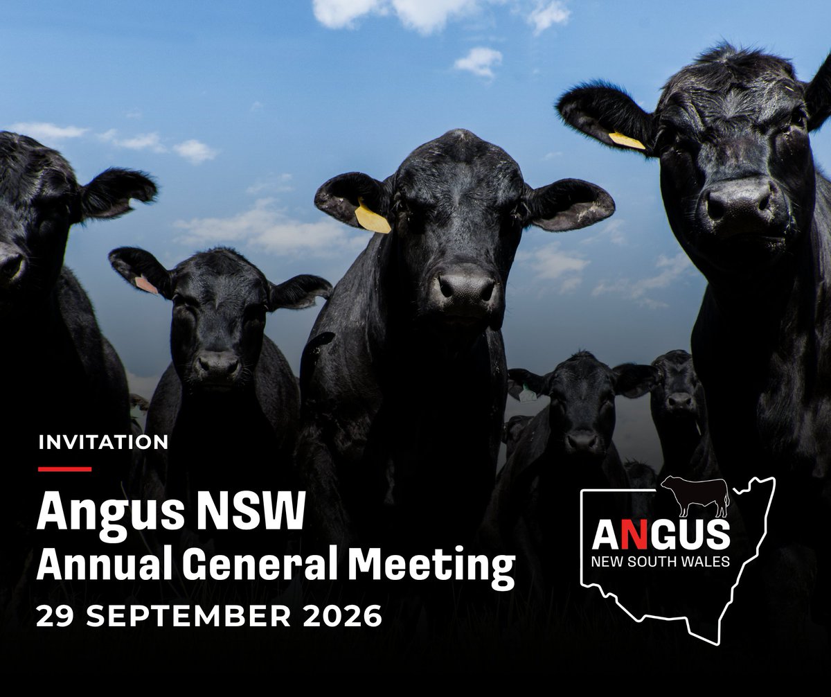 angusaustralia's tweet photo. 𝟮𝟬𝟮𝟲 𝗔𝗻𝗴𝘂𝘀 𝗡𝗦𝗪 𝗔𝗻𝗻𝘂𝗮𝗹 𝗚𝗲𝗻𝗲𝗿𝗮𝗹 𝗠𝗲𝗲𝘁𝗶𝗻𝗴 𝗮𝗻𝗱 𝗠𝗲𝗺𝗯𝗲𝗿 𝗜𝗻𝗳𝗼𝗿𝗺𝗮𝘁𝗶𝗼𝗻 𝗦𝗲𝘀𝘀𝗶𝗼𝗻.
𝟮𝟵 𝗦𝗲𝗽𝘁 | 𝟳:𝟬𝟬𝗽𝗺 | 𝗢𝗻𝗹𝗶𝗻𝗲 𝘃𝗶𝗮 𝗭𝗼𝗼𝗺

𝗙𝗨𝗟𝗟 𝗜𝗡𝗙𝗢 👉 https://t.co/IU74VVaC05

#angusaustralia #anguscattle #angus #nswangus https://t.co/X3IwozR72H