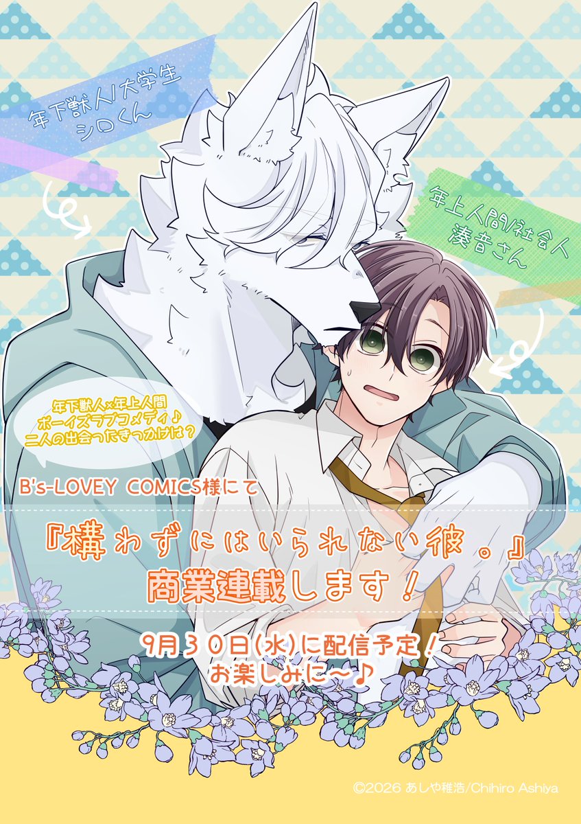 a04chr's tweet photo. *＼ 🩵新連載のお知らせ💚 ／*

＃構わずにはいられない彼。
　商業連載決定しました‼

B's-LOVEY 様にて
９月３０日（水）配信予定！

シロくんと湊音が出会った頃のお話です🩷

ゆっくり更新になる場合もございますが、公式サイトで最新話を読めますのでよろしくお願いします🐕✨ https://t.co/fYVBiThWVa