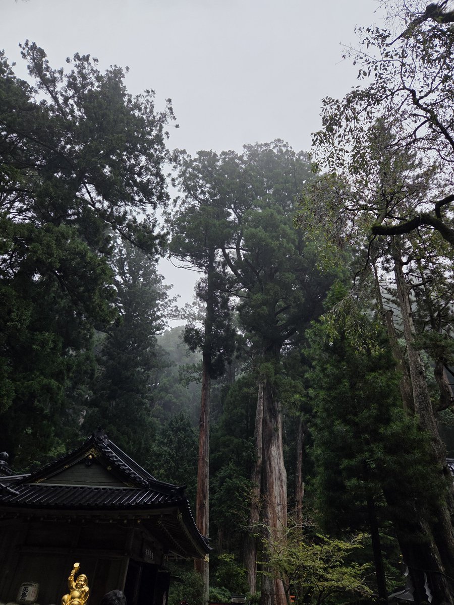 mai30179's tweet photo. 二荒山神社行ってきました✨️ https://t.co/vfwtM65YWi