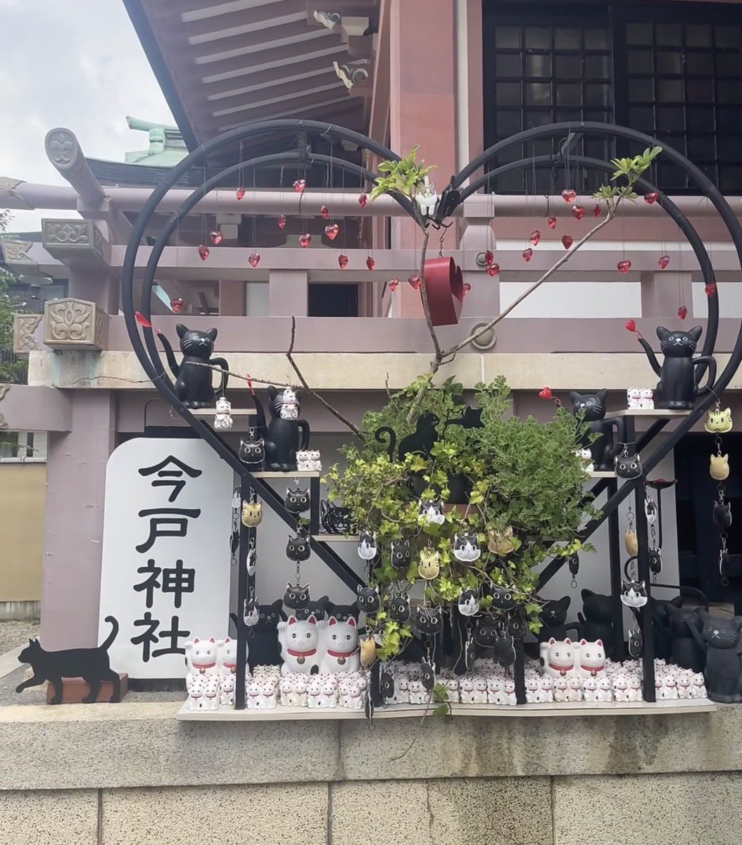 uranai_suki0306's tweet photo. 恋愛運上げたい人が行くべき神社 

① 東京大神宮(東京都) 
→ 縁結びの王道。恋が動き出す"きっかけ"神社 

② 今戸神社(東京都)
→ 恋愛成就&復縁。猫モチーフでご縁を招く

③ 出雲大社(島根県) 
→ 縁結び最強格。本気の結婚願望がある人向け

④ 貴船神社(京都府)                               
→恋が叶う水占みくじ。運命の流れを整える。 

⑤ 川越氷川神社(埼玉県) 
→ 良縁祈願で有名。恋愛運を育てたい人に 

⑥ 地主神社(京都府) 
→ 恋占いの石が有名。片想い中の人に◎ 

⑦ 生田神社(兵庫県) 
→ 恋愛・再スタートのご利益。新しい恋を始めたい人 

⑧ 八重垣神社(島根県) 
→ 鏡の池占いで有名。結婚時期を占いたい人向け

⑨ 恋木神社(福岡県) 
→ 名前からして恋特化。恋愛成就一点集中 

⑩ 三光稲荷神社(愛知県) 
→ ハート絵馬で有名。可愛い縁結び神社  ご縁は行動した人から動き出す!!!