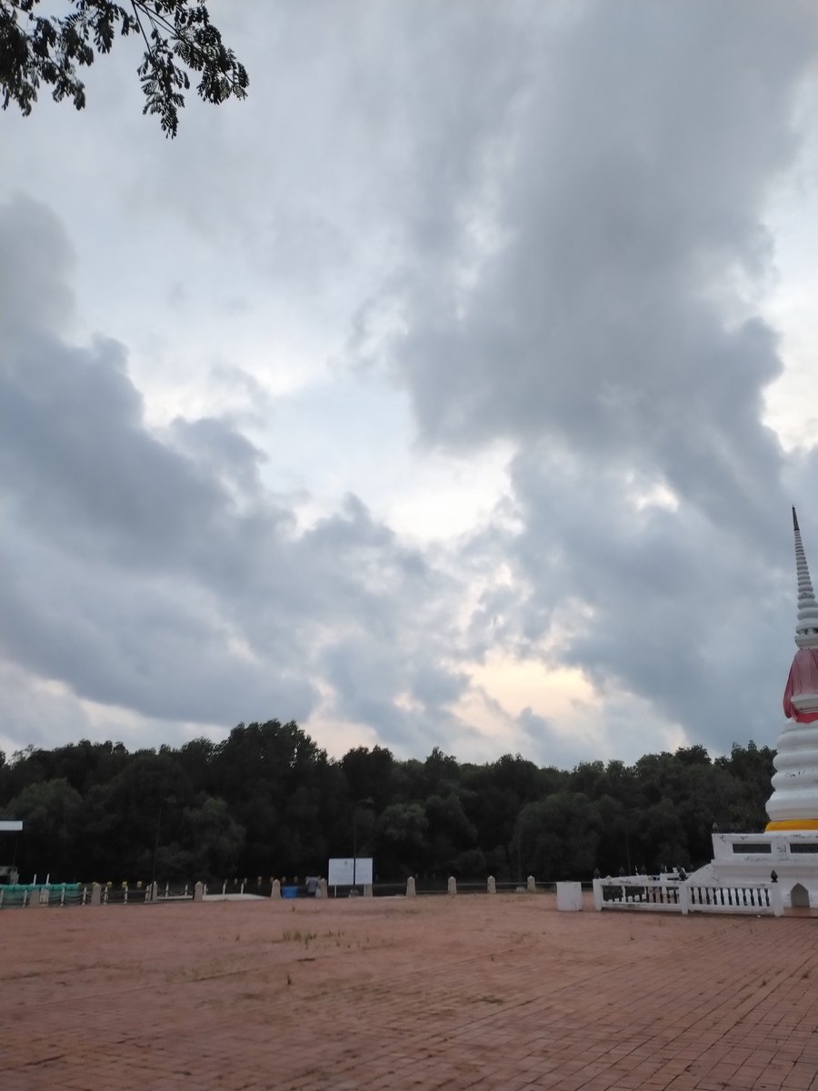Aloha_1988_'s tweet photo. แตกแตนมากกก  ห่างนานไปใช่มั้ย 
#ระยอง #ป่าในเมือง #ระยองสายล่าง https://t.co/OS0bbwTE5B