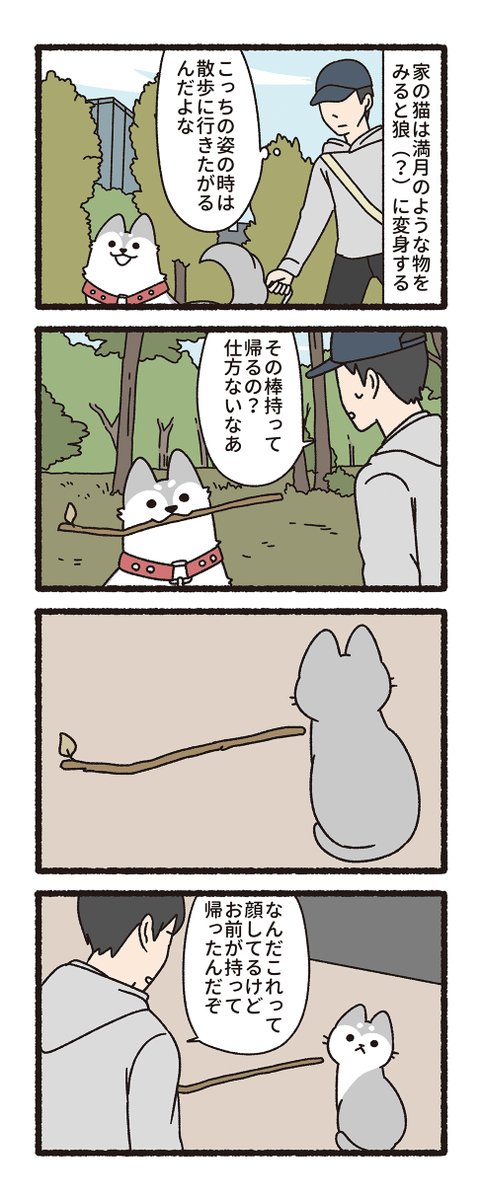 pandania0's tweet photo. 犬になってしまう猫（3/3） https://t.co/1nMnwMJcuk