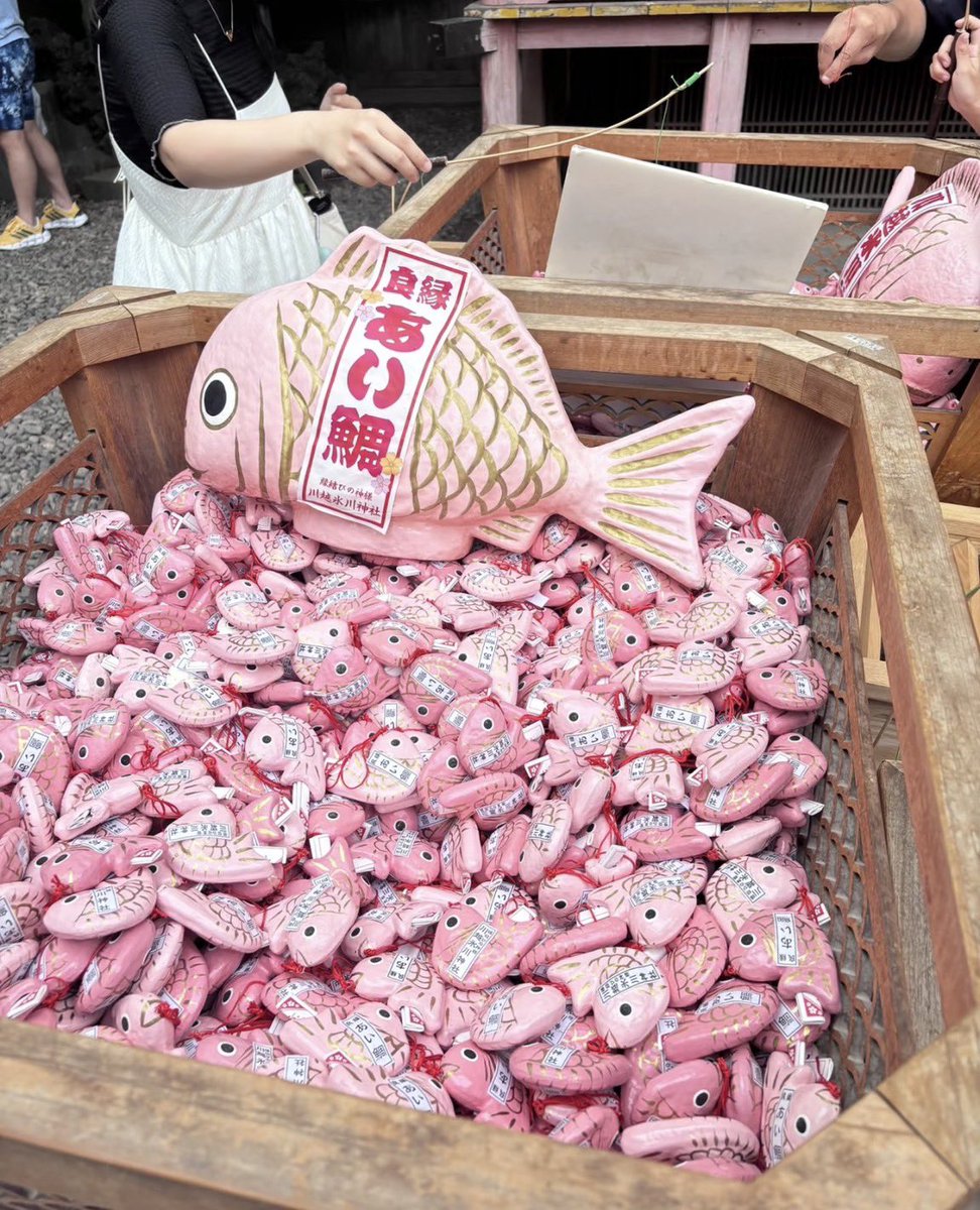 uranai_suki0306's tweet photo. 恋愛運上げたい人が行くべき神社 

① 東京大神宮(東京都) 
→ 縁結びの王道。恋が動き出す"きっかけ"神社 

② 今戸神社(東京都)
→ 恋愛成就&復縁。猫モチーフでご縁を招く

③ 出雲大社(島根県) 
→ 縁結び最強格。本気の結婚願望がある人向け

④ 貴船神社(京都府)                               
→恋が叶う水占みくじ。運命の流れを整える。 

⑤ 川越氷川神社(埼玉県) 
→ 良縁祈願で有名。恋愛運を育てたい人に 

⑥ 地主神社(京都府) 
→ 恋占いの石が有名。片想い中の人に◎ 

⑦ 生田神社(兵庫県) 
→ 恋愛・再スタートのご利益。新しい恋を始めたい人 

⑧ 八重垣神社(島根県) 
→ 鏡の池占いで有名。結婚時期を占いたい人向け

⑨ 恋木神社(福岡県) 
→ 名前からして恋特化。恋愛成就一点集中 

⑩ 三光稲荷神社(愛知県) 
→ ハート絵馬で有名。可愛い縁結び神社  ご縁は行動した人から動き出す!!!