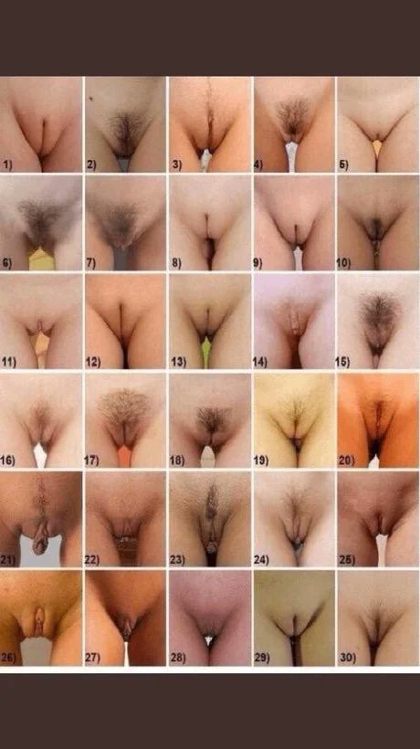 closedcricket's tweet photo. Which one are you? Send proof to anyone who asks.

#nsfwtwt https://t.co/NA9H2KbpgC