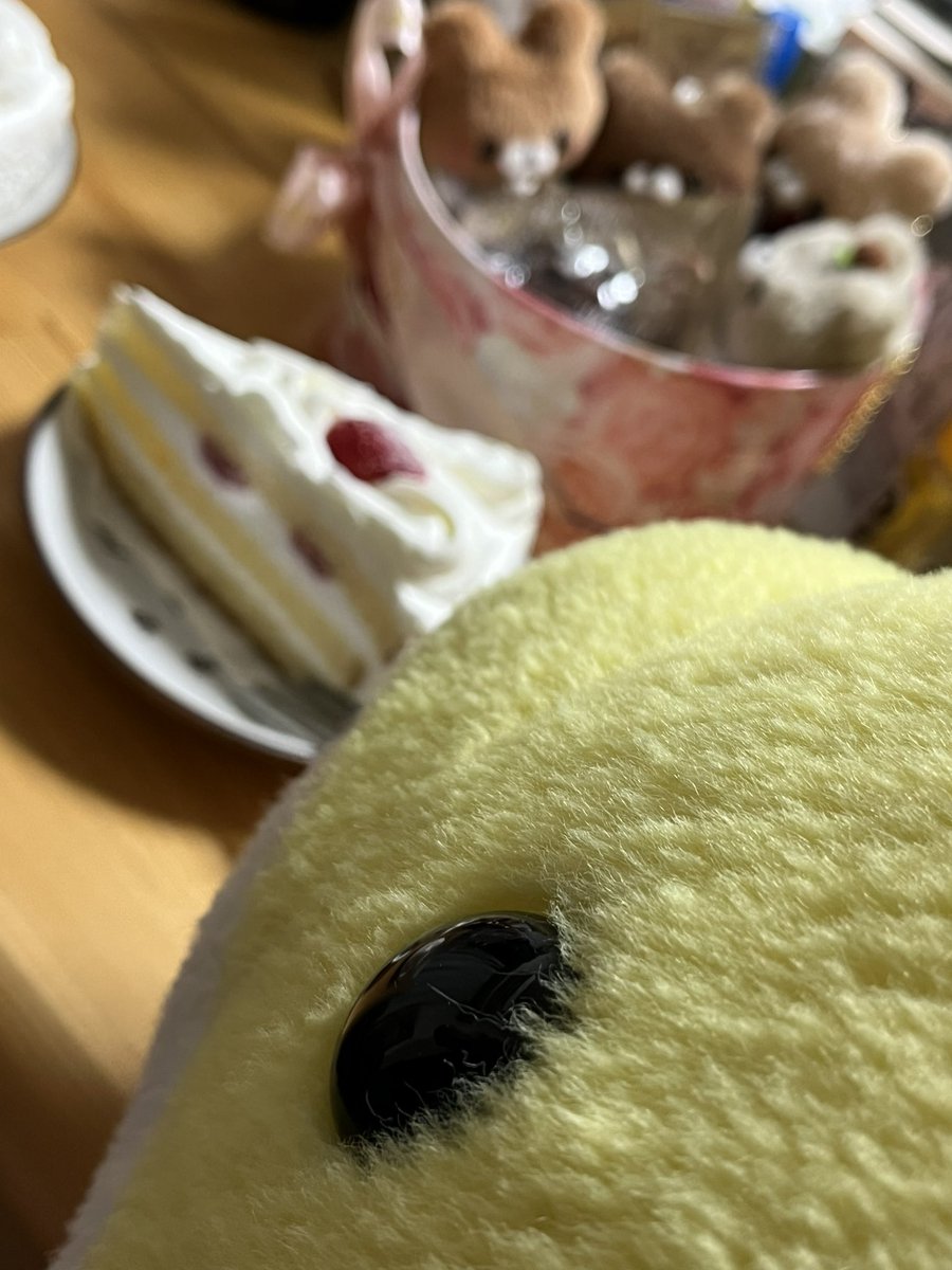furipikaT's tweet photo. 🐬「今年はたっちさんケーキじゃなくてクッキーの方に行ってる……くまさんケーキよりクッキーなの？？」 https://t.co/vwsU1wnpox
