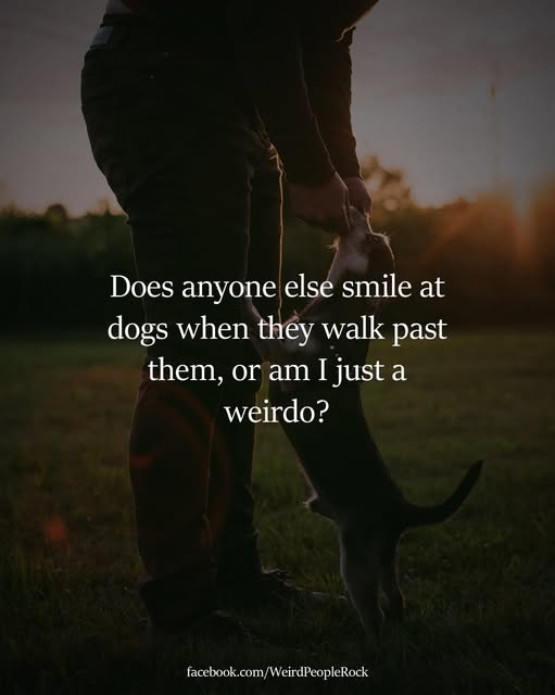 woofknight's tweet photo. https://t.co/zAFB8Ama2d