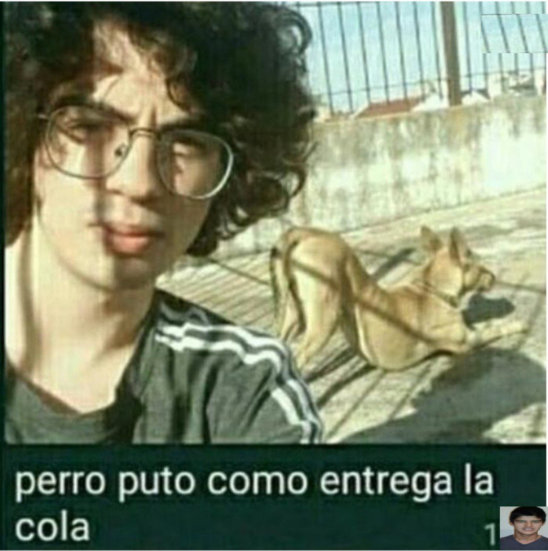skele_pokemon's tweet photo. Cocodrilo puto como entrega la cola

Posdata: no dormí por hacer esta weada 😭

(@Typhlosion174) https://t.co/euDx2KOmGB