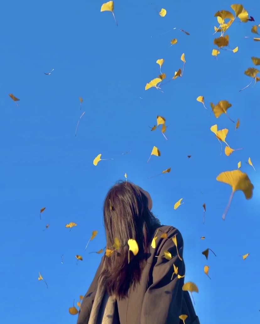 alinm277386's tweet photo. Our campus photography club's autumn photo walk is this Saturday! Meet at the central square at 9 AM, bring your cameras (or phones) and capture the golden season. Post your shots with #CampusAutumnShots for a chance to be featured on our page!， https://t.co/Gt2CaadDOJ