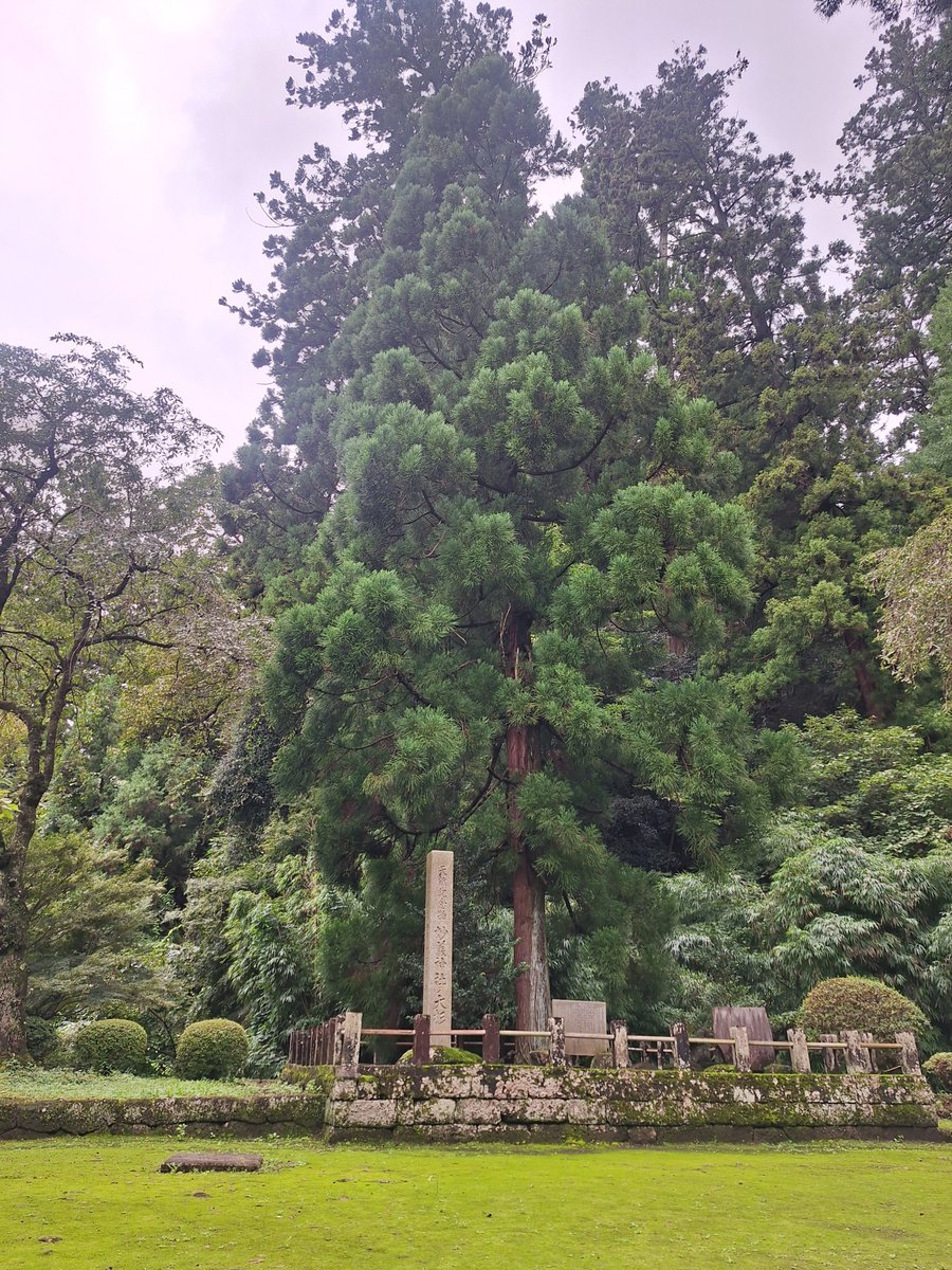 hide08277197's tweet photo. 妙義神社➁
勉強不足なので写真だけ
山頂の妙義山は気になる
時間が無いから登れませんかったけど
調べると1日かかるらしい？(--;) https://t.co/QmyIrljF4j