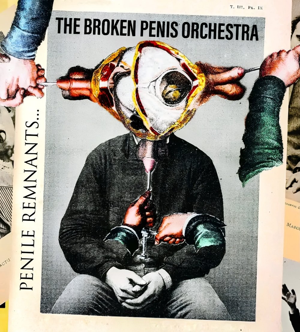 lancelotspram's tweet photo. β½ Here are some VERY silly music album covers - have a laff!
β https://t.co/9ItLskBgY2 β
#Music #MusicIsLife #MusicSaves #MusicIsMyTherapy
#Humour https://t.co/oYc2W7qDS7