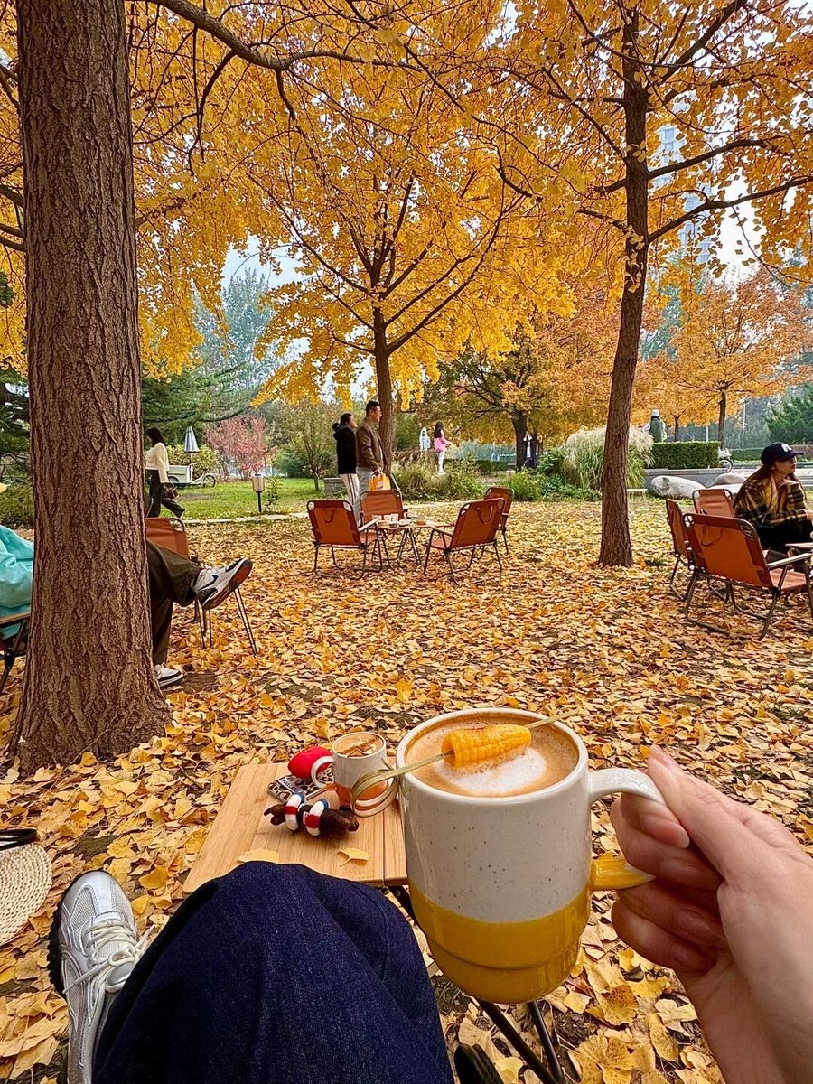 hsan36754100's tweet photo. [Autumn breeze just swept in—crunchy leaves, warm latte in hand, perfect weekend vibe! ]， https://t.co/p1p3n1tMb8