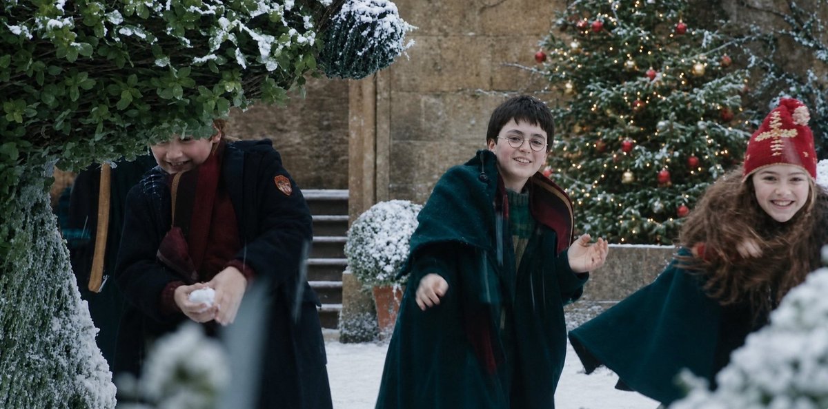thiegonovais's tweet photo. Venho do futuro pra afirmar que o episódio de Natal da série Harry Potter, muito provavelmente o episódio 6, vai emocionar. 

Esse episódio deve ir ao ar no dia 31 de janeiro. https://t.co/luOZOCn3Xr