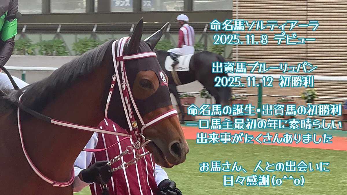 sora_lisanna's tweet photo. 🌟自己紹介🌟

リサーナWORLDというYouTubeチャンネルをやってます☺️
2026年からはゲーム生配信も始めましたので、良かったら遊びに来て下さい🙏

物心ついた頃から馬が大好き🐎
お馬さんの事をメインに活動しております✨
よろしくお願い致します😆

⬇️YouTubeチャンネル⬇️
https://t.co/fin4G6XEOJ https://t.co/uxcFzEfG8k
