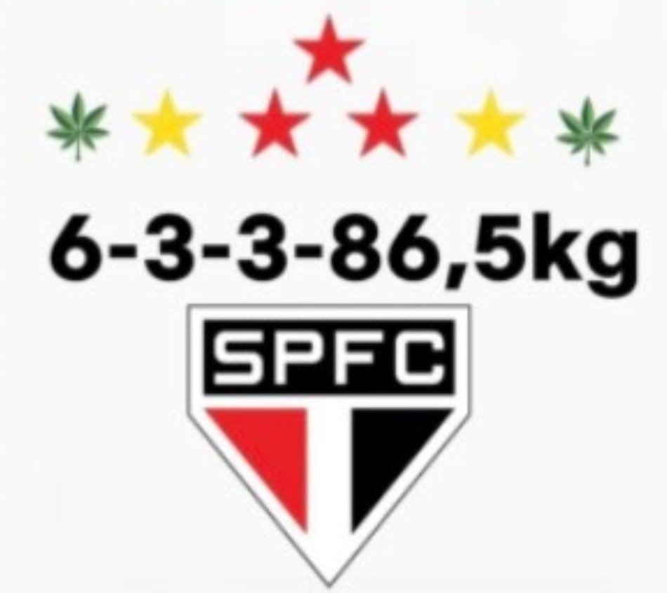 OUltimoMecao's tweet photo. É dia de São Paulo Futebol Clube

Nada mais me interessa 

Bom dia https://t.co/wWgO9X8RNl