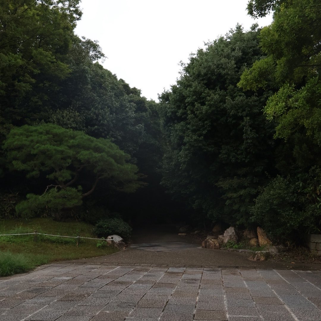 _nanaphotograph's tweet photo. https://t.co/XN0dn7sSLG
