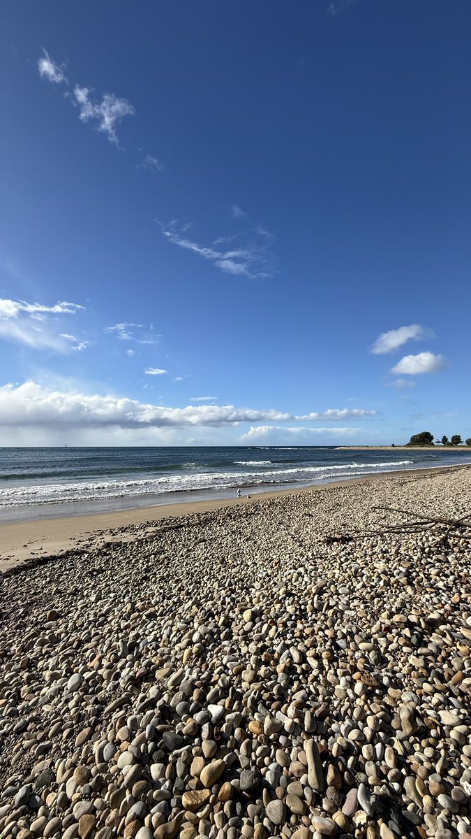 wapple15's tweet photo. #RockinTuesday #SeagullReport https://t.co/FCTRppMif1