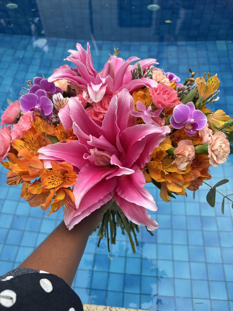 Larissaanun's tweet photo. Bom dia, um pouquinho de cor nesse Rio de Janeiro chuvoso 💐 https://t.co/YE3gethwrL