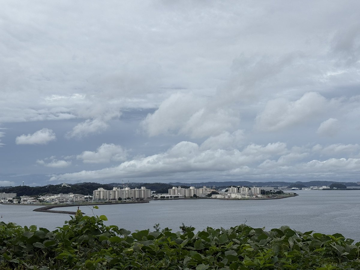 alcali404's tweet photo. 旧日本軍の要塞がわりとそのまま残ってる猿島をのんびり散歩✨
横須賀から10分で行けるこんな島があるとは🥺
バーベキューもできるそうなので、友人連れて海見ながらお酒飲みたいなあ😌 https://t.co/mNjTbiacEf