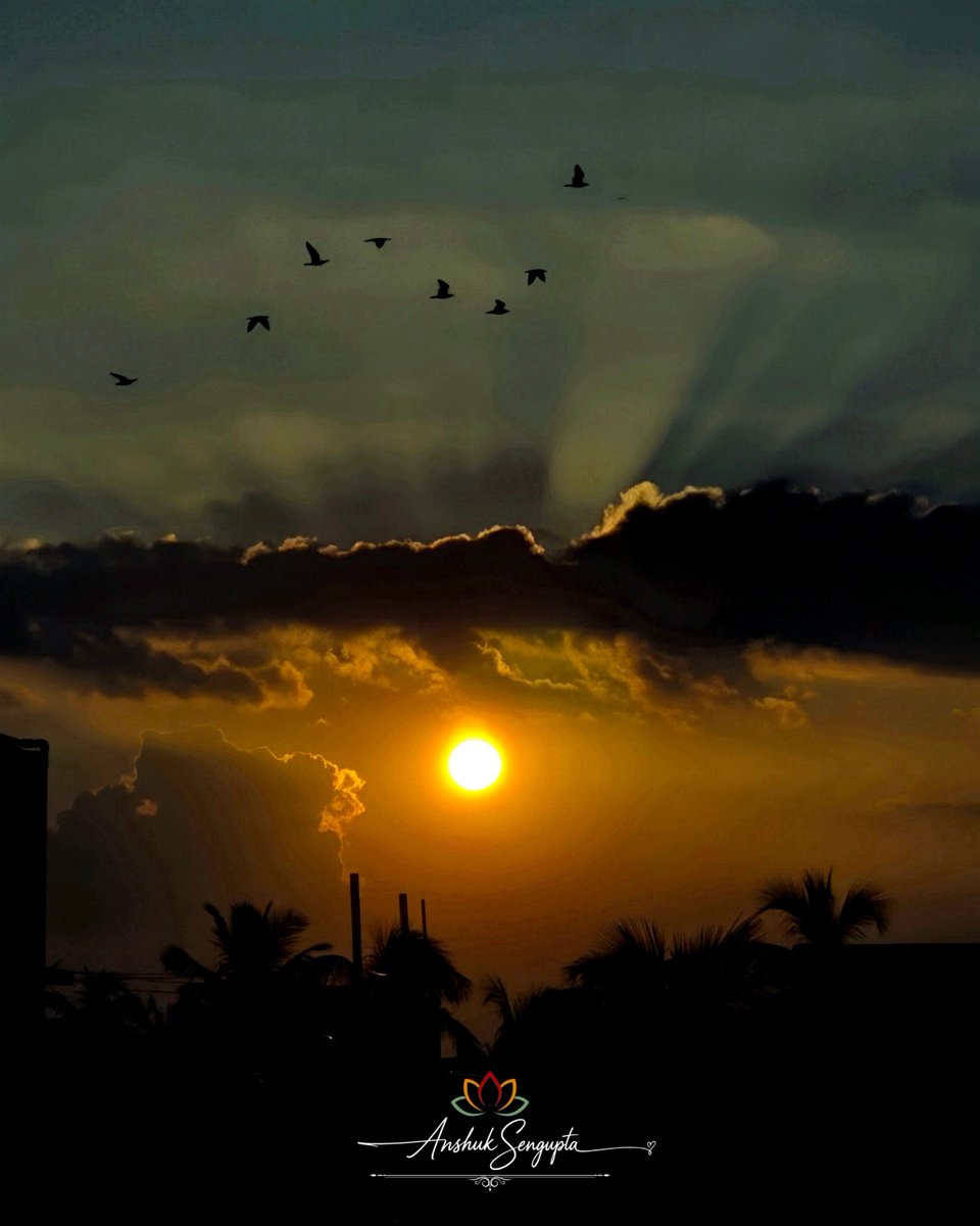 Its_Anshuk's tweet photo. 🎭 Concept : Splitting the Sky, in blue & orange. ☁️🌅
---
📮 #Post 22 : Anshuk's Photography Series
📍 Captured at : @Kolkata, West Bengal
🗓️ Captured on : 14.09.26
---
#photo #photography #orange #blue #sky #colour #sun #sunset #cloud #birds #autumn #evening #skywatching https://t.co/j54BZWs2HX