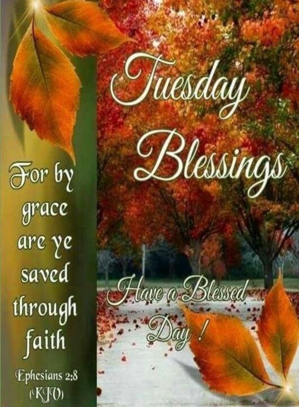 LoveSweetNancy's tweet photo. https://t.co/bkwwrMRi6N
