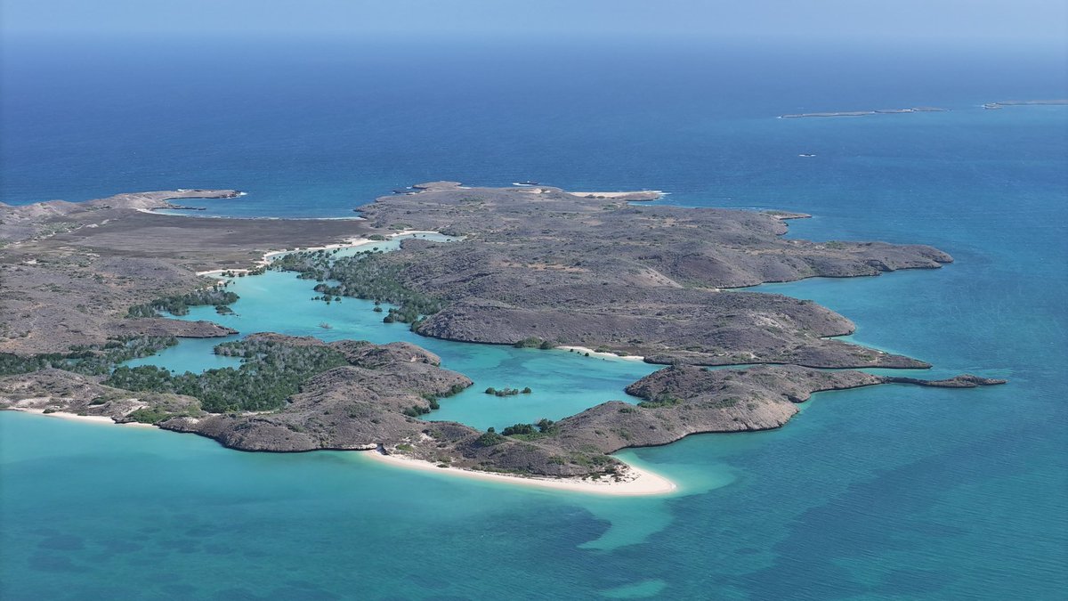 MOICTJUBALAND's tweet photo. Jubaland is home to breathtaking natural beauty, where the Jubba River meets the sea, surrounded by lush farmland, coconut plantations and stunning landscapes. 🌊🌴 Discover Jubaland  a hidden gem of Somalia’s tourism. 🇸🇴

#VisitJubaland #Jubaland https://t.co/PZKm4ioG97
