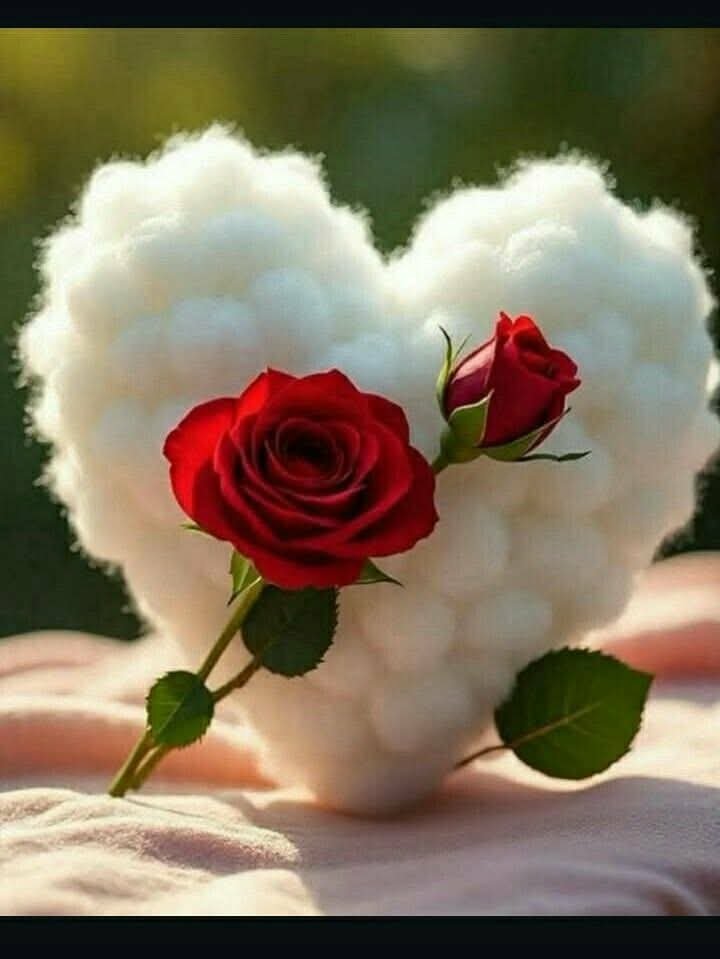 tarkali61114331's tweet photo. @lola18067034 https://t.co/W45TfPEmhp