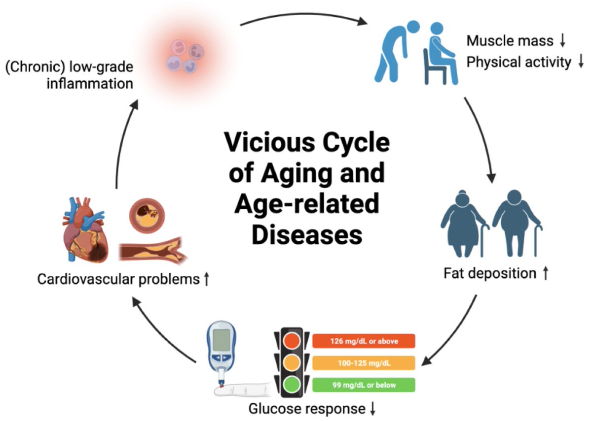 JoF_MDPI's tweet photo. 🍄 Unlocking the Power: New Insights into the Anti-Aging Properties of Mushrooms

Could mushrooms hold potential for healthier aging? 

Read the open-access review: https://t.co/oBttWPXQXv

#JournalOfFungi #Mushrooms #AntiAging #HealthyAging #FungalBiotechnology https://t.co/wsGef2lny9