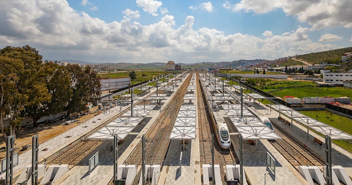 supply_africa's tweet photo. Maroc : l’ONCF lance la procédure pour la liaison ferroviaire entre Tanger et l’aéroport Ibn Battouta.
@ONCFgroup #ligne #ferroviaire #transport #logistics #supplychain
https://t.co/agKbRXi2Ds https://t.co/B9MwQkKIoy