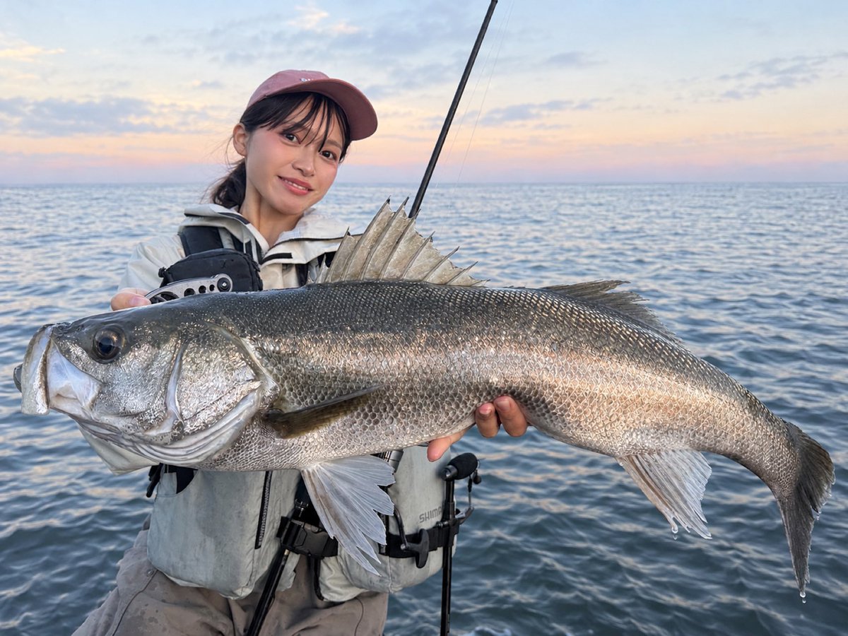 momo__rockfish's tweet photo. 久しぶりの浮上⭐️
最近の釣果まとめ！ランカーシーバス2本釣れた（╹◡╹）
うれしいいいい！！！！ https://t.co/uVbnyHa15A