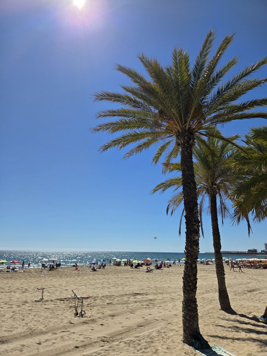 nilskern17's tweet photo. Was ich sehe 🆚️ was Louis sieht! 🤷♂️
Und wir sehen uns heute Abend zu #ElcheRealMadrid 😉🌞⚽️🏖
#KernKid https://t.co/qX9bEtD4Ss