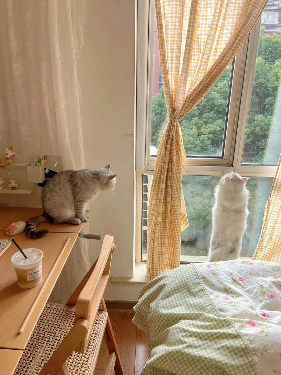 DorisFlemigsni's tweet photo. ふとした瞬間に心がほどける感覚。言葉にできない余白が、案外大切だったりする。また明日から向き合えるかな。 https://t.co/my11sWWwQS