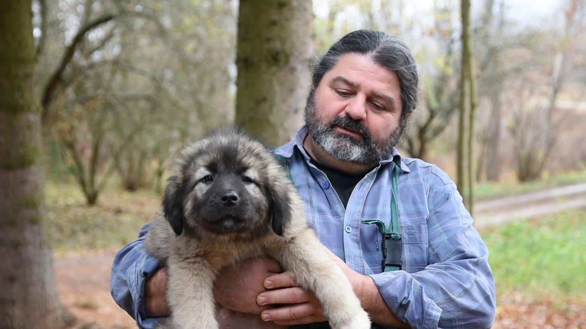 fvm_blokade's tweet photo. 68. Aleksandar Vasov je poljoprivrednik, stočar, muzičar i jedan od najposvećenijih čuvara tradicionalnog načina života na Staroj planini.

Čast nam je što je prihvatio tu odgovornost da se nađe na studentskoj listi. https://t.co/yXHFL0VNcL