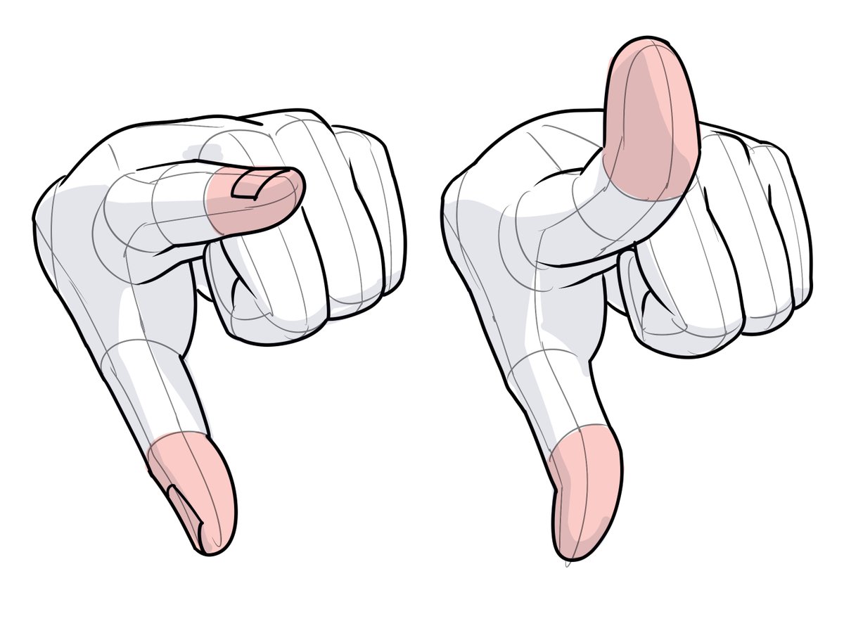 kato_anatomy tweet picture