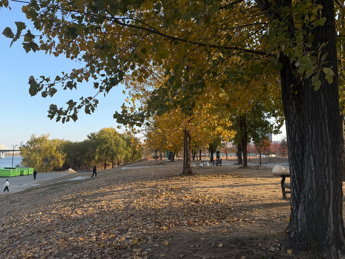 fincx711949's tweet photo. Just had the most relaxed weekend trip to the lakeside town—fresh air, quiet paths, and no work emails to bug me! Perfect reset for the new week. https://t.co/Y8YDidfoSd