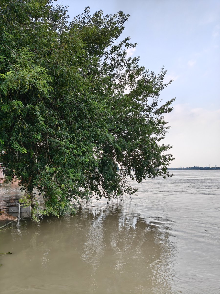 Mighty_Seep's tweet photo. Swollen currents, quiet shores, and centuries of silent history. Ganga in her post-monsoon glory at Sati Chaura Ghat, Kanpur. 🌊✨ https://t.co/vBZnXg85qk