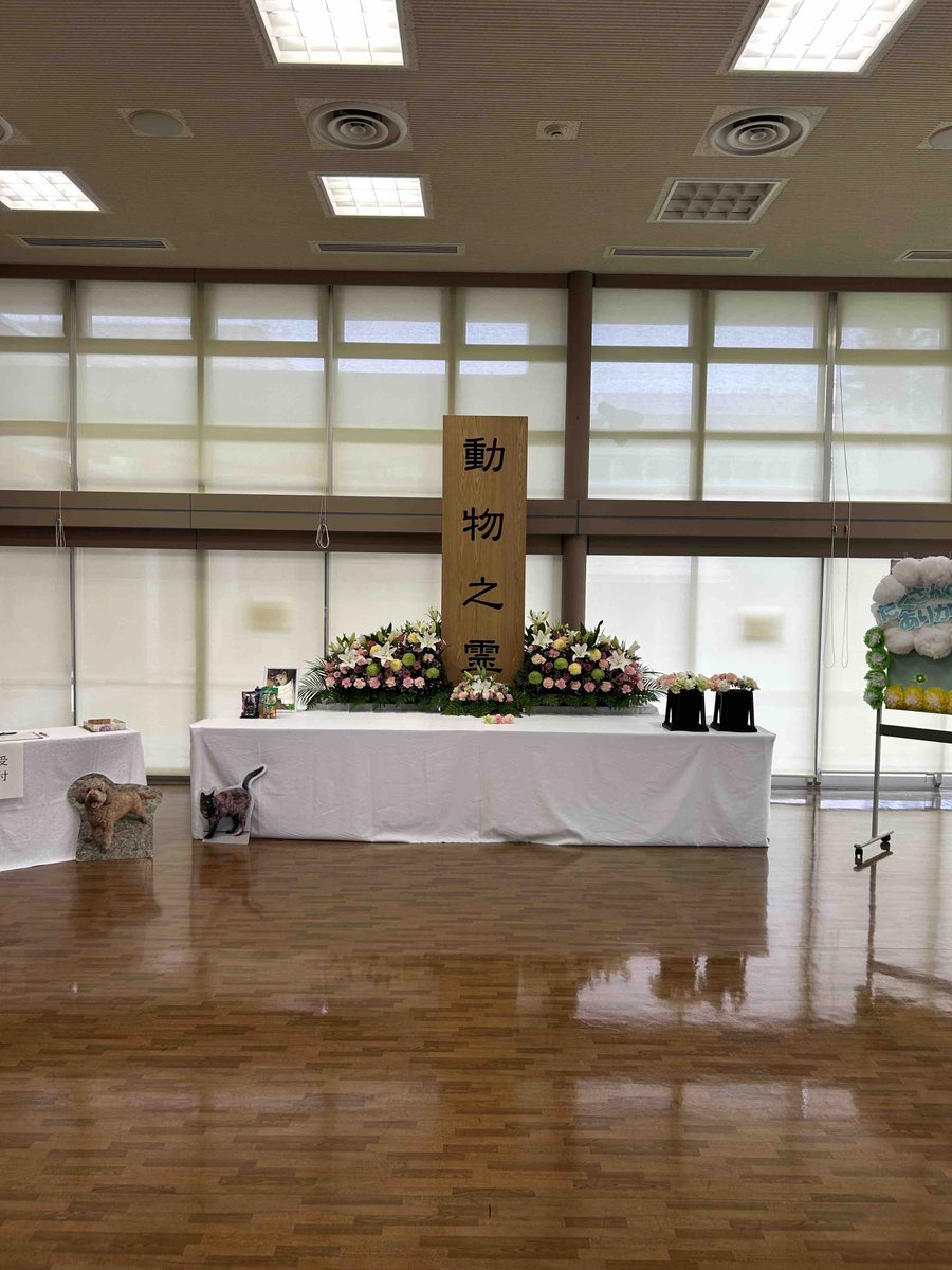 NPO_CATS2026's tweet photo. 今日は仙台市の動物慰霊祭に行ってきました。
CATSでは今年1月から今日まで、１９０匹の飼い主のいない猫の不妊手術をおこなって参りました。
その中には妊娠中の母猫もおり、その時には断腸の思いで堕胎処置をお願いすることになります。
今まで６２匹。
都度慰霊をお願いしておりましたが、今日は動物愛護週間に合わせた仙台市主催の動物慰霊祭で手を合わせてきました。

本当にごめんなさい。
これ以上望まれない命が増えないように、これからも頑張るから。