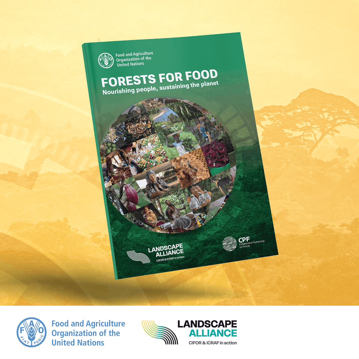 FAOForestry's tweet photo. 🌳 Forests help feed the world!

📖  FAO’s Zhimin Wu explains more about a new report from @FAO and @TheLandAlliance in this blog 

👉https://t.co/PJ5dja3AqX

#CPForests https://t.co/YJUlI1vlUR