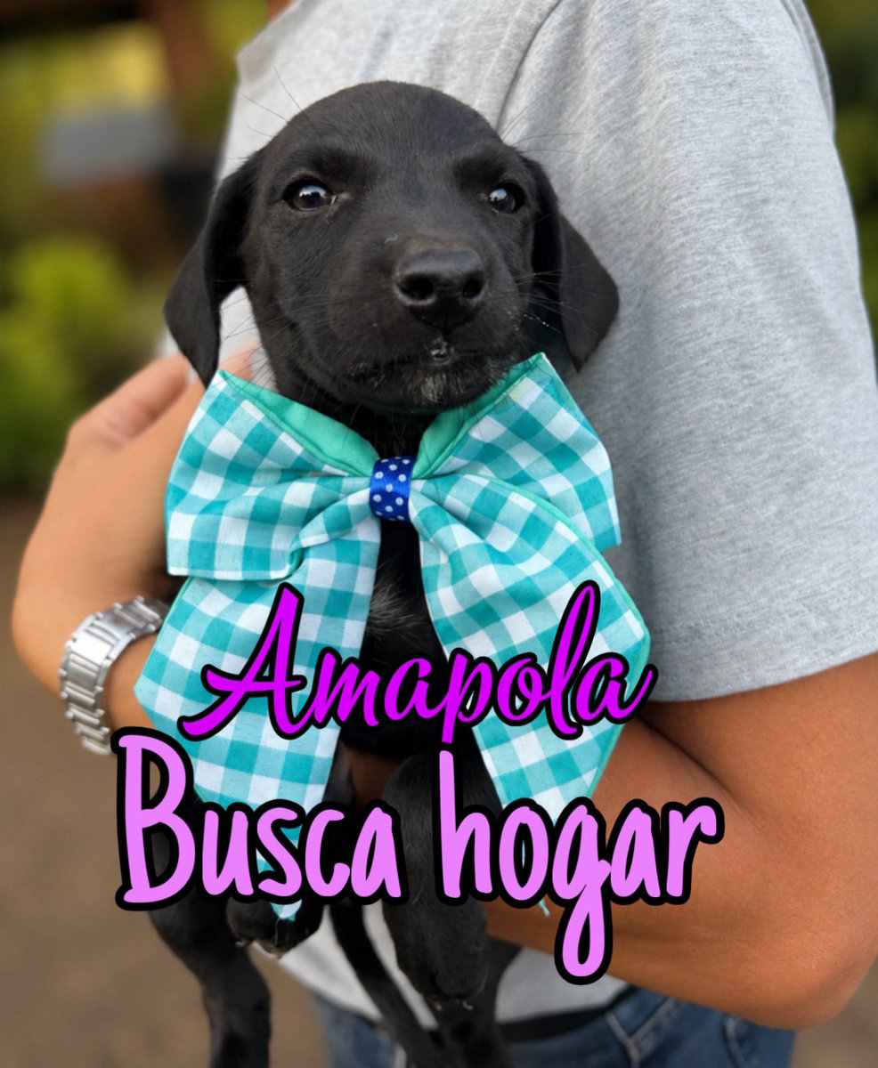 AsociacionMi tweet picture