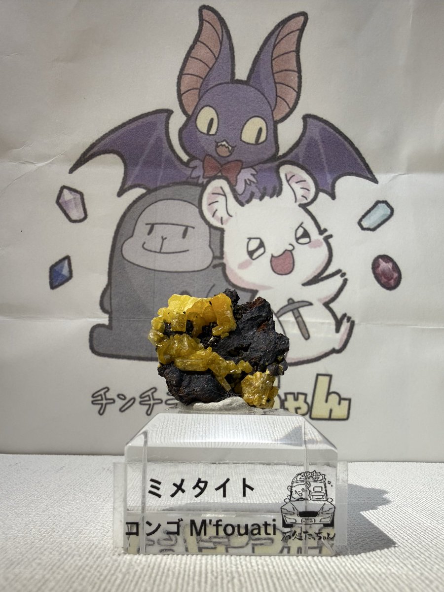 Yamaral_3's tweet photo. 秋葉原ミネラルマルシェ、@arcrk75977 さんにてお迎えした石たち
1枚目はダイオプテーズ/クォーツ
母岩がクォーツでキラキラしていてダイオプテーズの結晶もメインだけでなく小粒が散らばっていて可愛いです😆
2枚目はミメタイト
母岩に結晶が映えていてお迎え😁
紙袋可愛い😍
#秋葉原ミネラルマルシェ https://t.co/Lt2HaXaBRk
