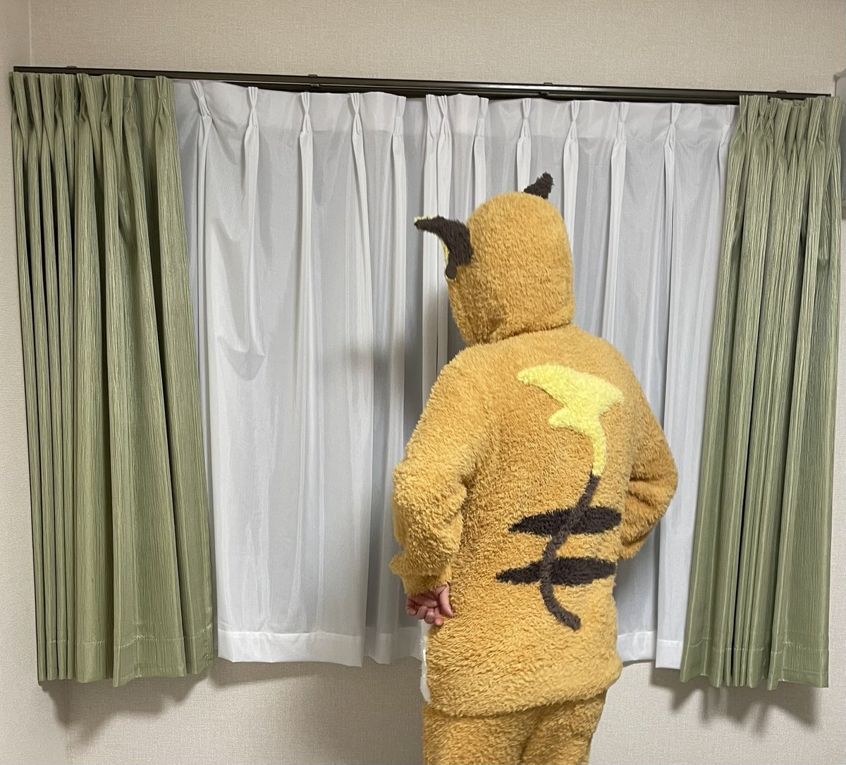appletarte15's tweet photo. 家にライチュウがいる生活☺️ https://t.co/DO0EfoRGkV