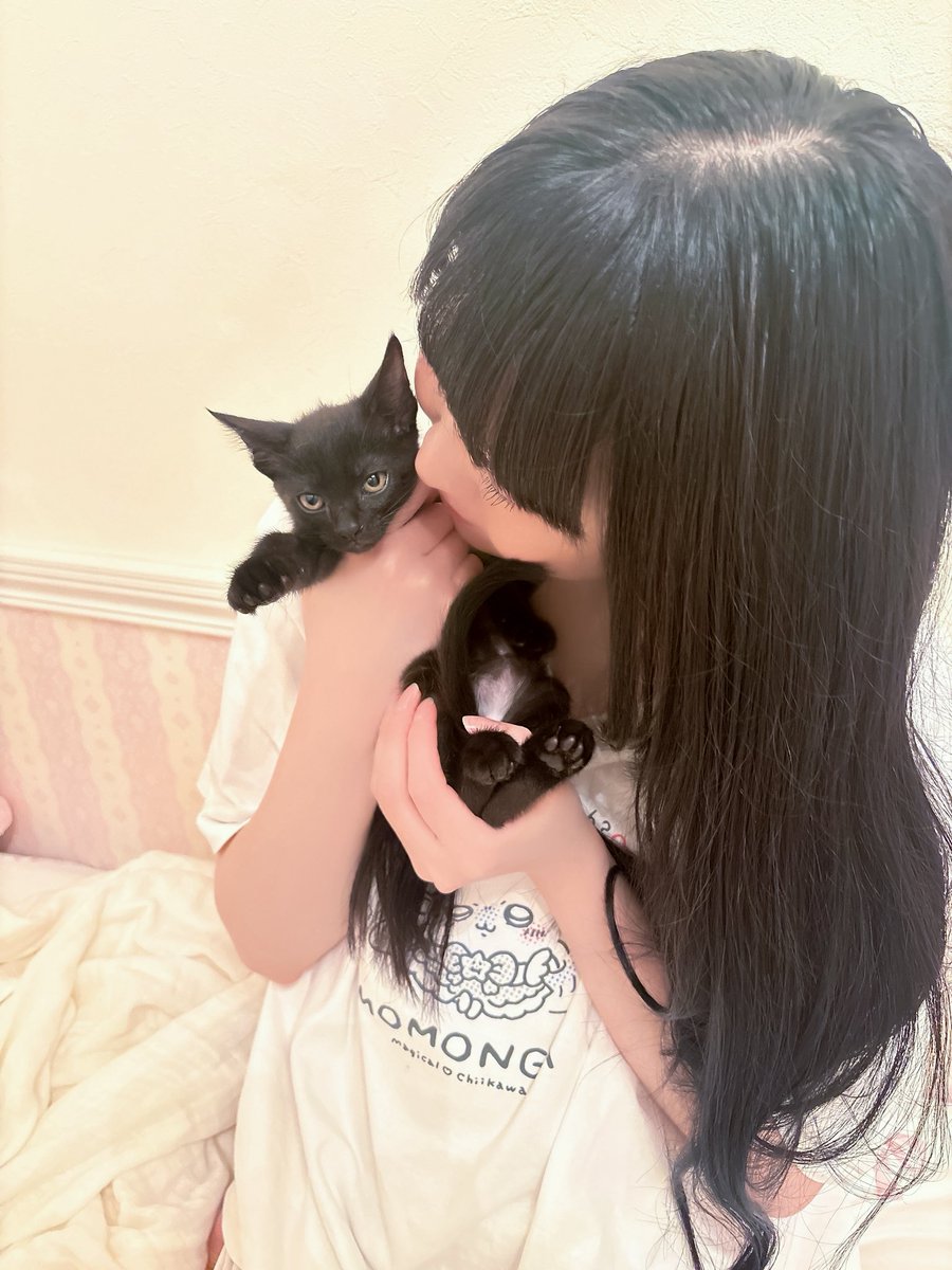 Rion_parfait's tweet photo. 仔猫ちゃんトライアル中です🏠♡ https://t.co/jo39qAO337