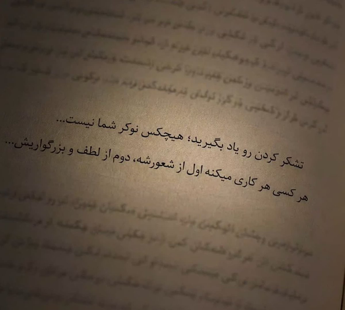 i6c5y tweet picture