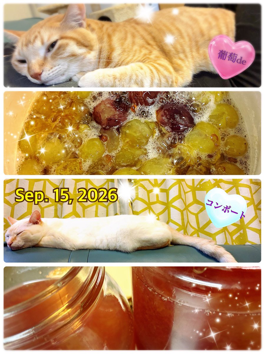 mmya2007's tweet photo. ゴロゴロしてたら完成にゃ🐾
ちょい酸っぱいマスカットと巨峰を貰いました❣️
葡萄コンポート🍇に！
黙々と灰汁取りして。
種や���を取り除いてソーダ割りしたら。
めちゃくちゃ美味しい葡萄サイダーできたよ！
#マスカット
#巨峰
#葡萄
#サイダー割
#コンポート https://t.co/ZIkcyx8ace