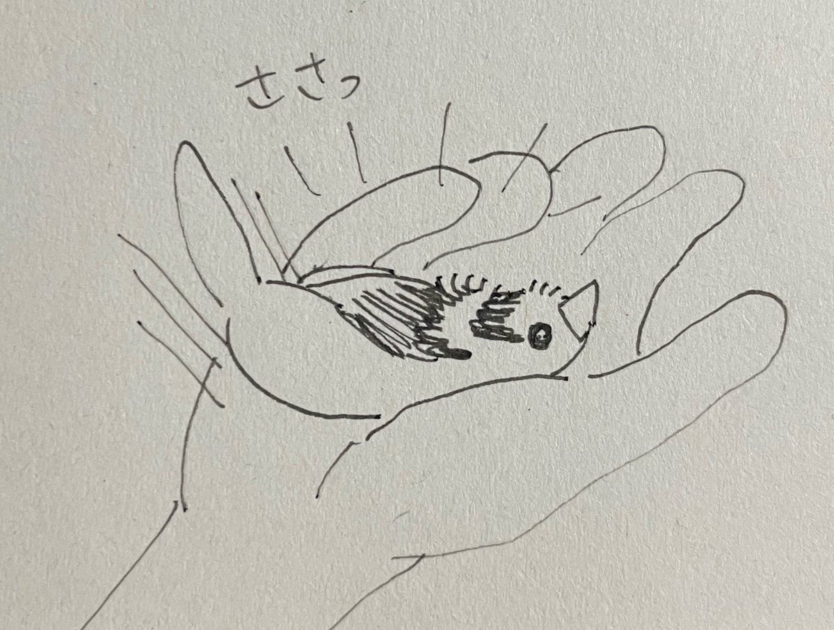 19sumi88's tweet photo. 手にへらべったくフィット https://t.co/1jzMiXLq8p