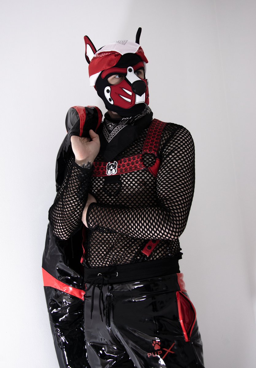 SubPupComet's tweet photo. Now I have my jacket, are we heading back to your place? 😎 https://t.co/eeYW8sAqbU