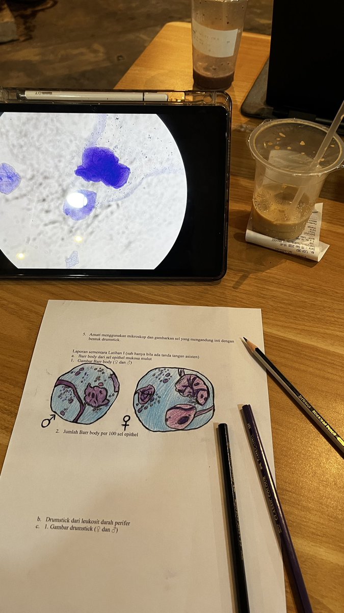 studmeds's tweet photo. prak genet lps pertama aja udh gambar gini, gua smpe beli pensil warna lagi… https://t.co/ZkqbvnubM3