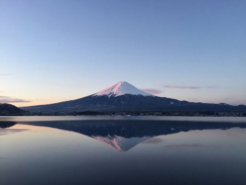 JenniferCobaln's tweet photo. 自販機のお釣り、いつもなぜかカールしたお金が出てくる。
まるで「お元気ですか？」って聞いてくるみたい。
健康診断必要なのはあなたじゃないよ！ https://t.co/m0pO8iwwDr